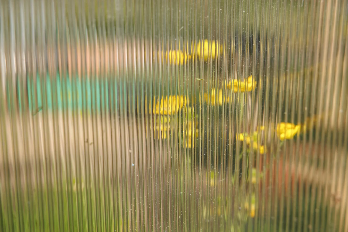 Gelbe Blüten hinter geriffeltem Glas als Sinnbild für feine Wahrnehmung und Intuition im Alltag
