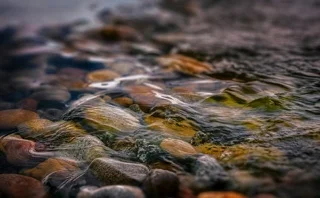 Fliessendes Wasser mit Brunnenkresse über Steinen als Sinnbild für Bewegung und neuen Lebensfluss
