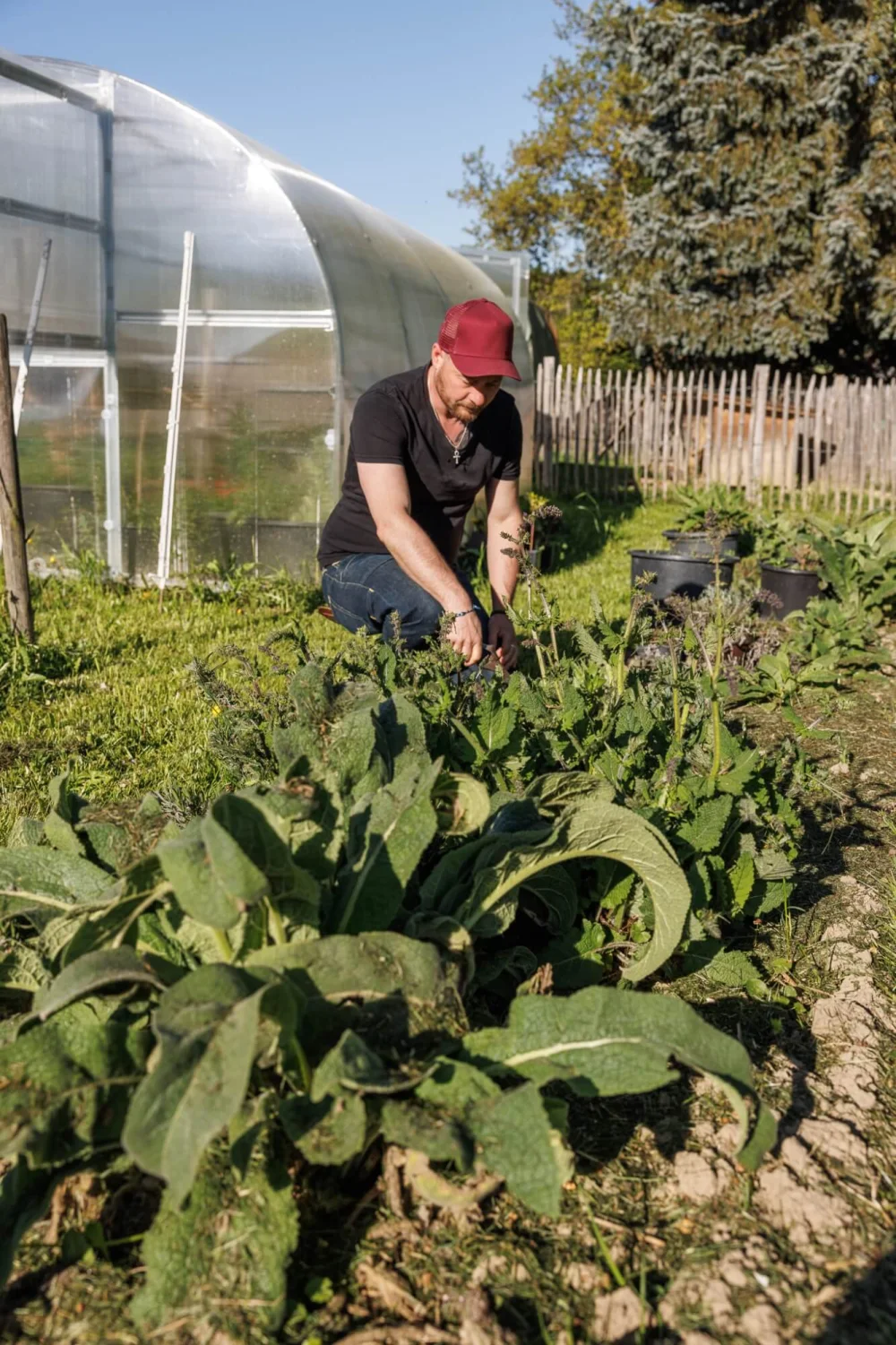 Sam Boonkue beim Pflegen der Pflanzen im Garten vom Ökoversum