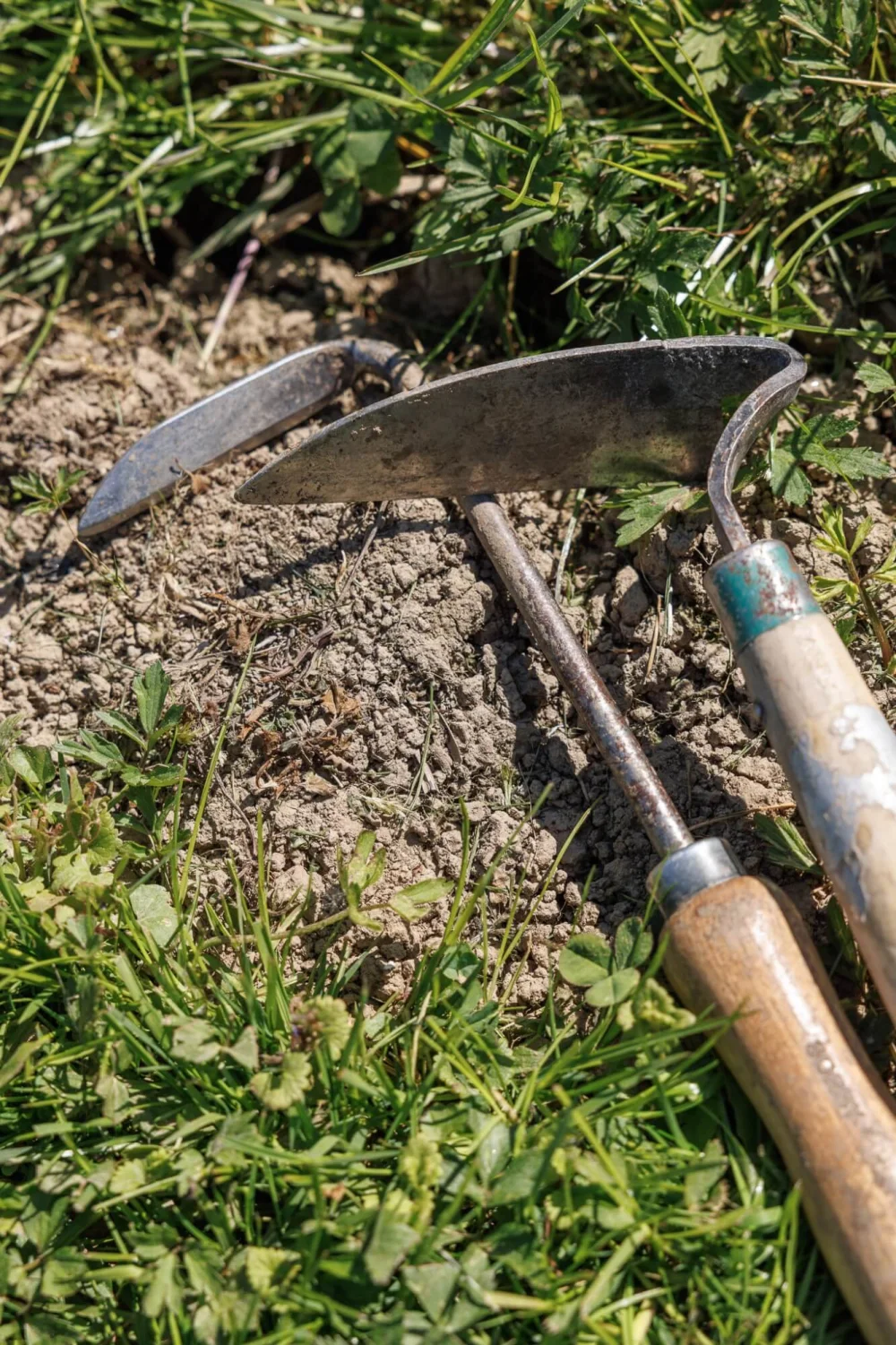 Gartenwerkzeug in einem Acker liegend im Ökoversum