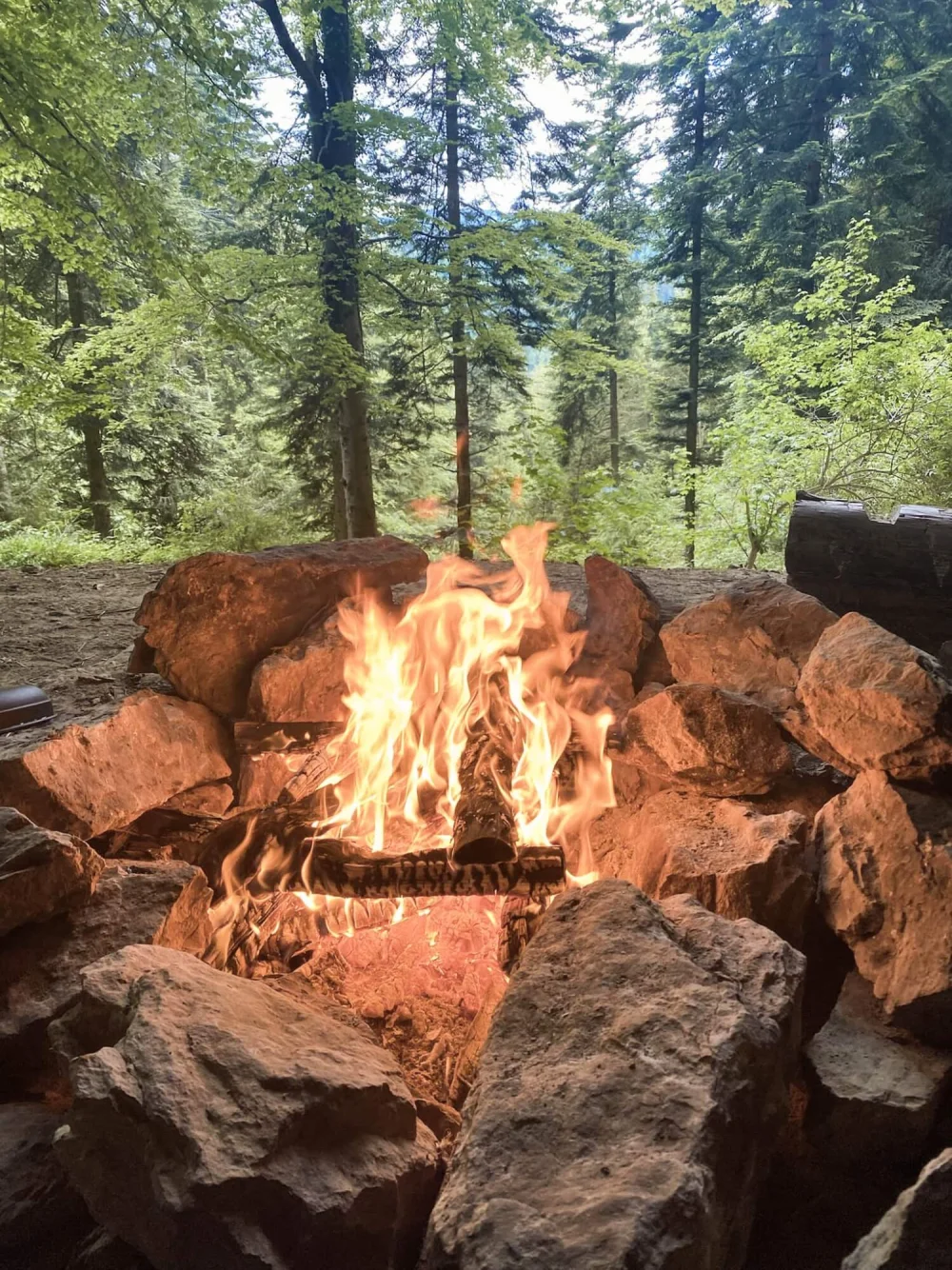 Feuerstelle im Wald für Rituale und Naturerfahrung im Ökoversum