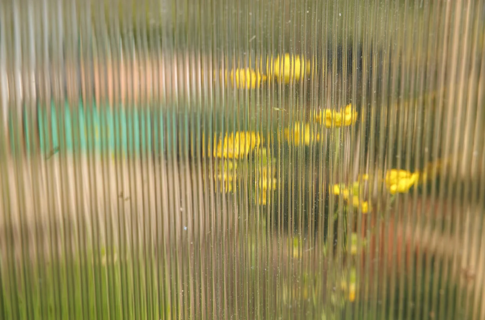 Gelbe Blüten hinter geriffeltem Glas als Sinnbild für feine Wahrnehmung und Intuition im Alltag
