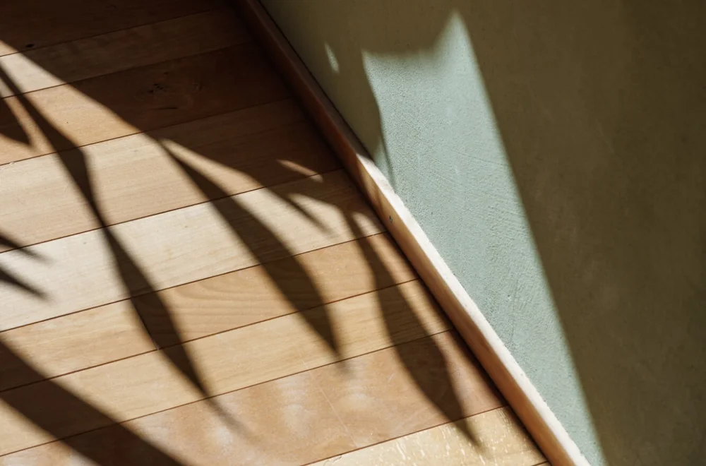 Licht und Pflanzenschatten als Sinnbild für Reflexion, Klärung und bewusste Ausrichtung 
